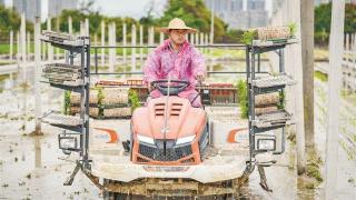 春耕正忙 厦门市今年早稻机械化插秧作业启动