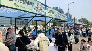 2026江苏省风筝挑战赛燃动徐州