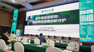 破解老年宠物肾病困局的新希望——专访中山大学王蔚东教授