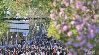 吉镜头|长春新民大街“步行模式”已成假日常态盛景