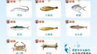 暂别了!这几类海鲜浙江禁止销售!