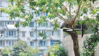 今天雨水强势回归 昨日刷新最高气温 今年高温天气来得更晚一点