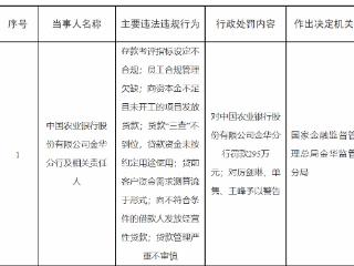 贷款“三查”不到位等七项违规 农行金华分行被罚款295万元 相关责任人被警告