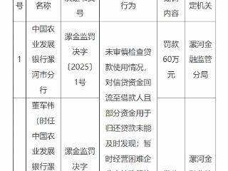 向不符合条件的企业进行续贷等，中国农业发展银行漯河市分行被罚60万元