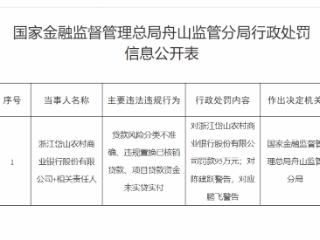 项目贷款资金未实贷实付等，浙江岱山农村商业银行被罚款95万元