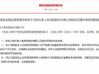 王刚获批担任大家人寿副总经理