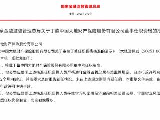 丁峰获批担任中国大地财险董事