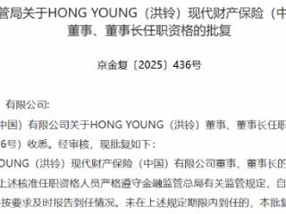 HONG YOUNG(洪铃)获批担任现代财险董事、董事长