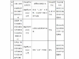 信贷资产风险分类不准确等，宁波奉化罗蒙村镇银行被罚款60万元