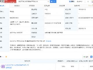 浙江东海之翼低空经济公司注册成立