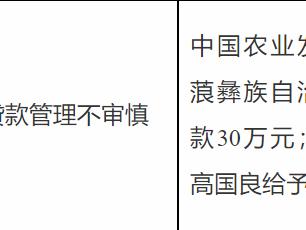 农发行宁蒗支行因贷款管理不审慎被罚30万元 责任人高某遭警告
