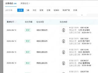 赵露思小小的守护公益基金商标注册成功
