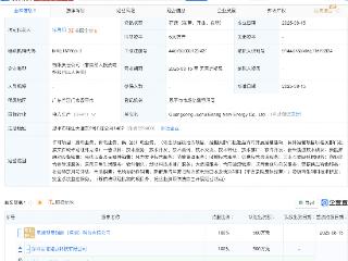 赣锋锂业在广东投资成立新能源公司