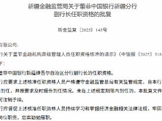 董菲获批担任中国银行新疆维吾尔自治区分行副行长