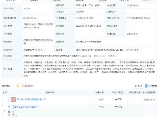 隆基绿能在内蒙古新设两家新能源公司