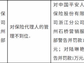 平安人寿杭州石桥营销服务部因代理人管理问题被罚 责任人陆某同步受罚