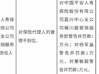 平安人寿嘉兴营销服务部因代理人管理不到位被罚 相关责任人同步领罚