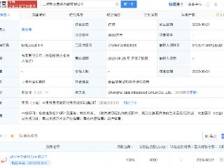 斯达半导在上海新设集成电路公司