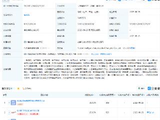 野马汽车等投资成立新公司，含智能无人飞行器业务
