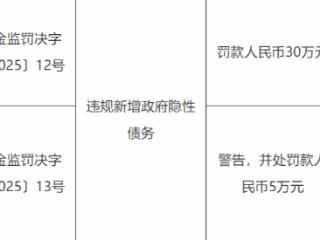 违规新增政府隐性债务，中国邮政储蓄银行西藏自治区分行被罚款30万元