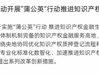 浙江启动“蒲公英”行动 打造知识产权金融服务高地
