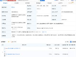 隆基绿能在西藏成立新能源公司