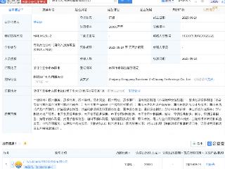 东阳光新设科技公司，含集成电路芯片业务