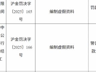 中银保险上海闵行支公司因编制虚假资料被罚14万元
