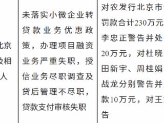 农发行北京市分行因多项信贷失职被罚 230 万 6 名责任人同步受处