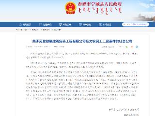 河北一拖欠农民工工资企业惩戒期内连中三标引质疑，监管部门：将核实相关情况