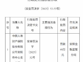 国寿财险安阳支公司因农险业务存造假等问题被罚40万