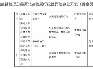 阳光人寿石家庄两家支公司因许可证遗失被罚，各罚款1万元