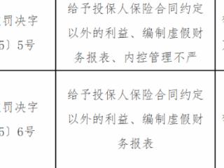 和谐健康营口中支因编制虚假报表等被罚23万，1 人追责