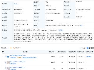 华电新能、远景能源等成立海上风电新公司