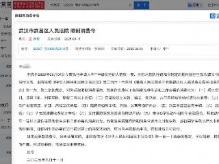 华晨宇黑粉被法院限制高消费