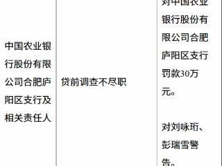 农业银行合肥庐阳支行因贷前调查不尽职被罚款30万元