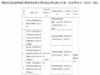 财务业务数据不真实、给予投保人保险合同以外利益，幸福人寿邯郸中心支公司被罚30万