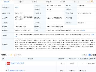 隆基绿能成立绿储新能源公司，含无人飞行器业务