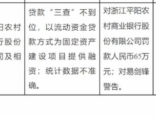 以流动资金贷款方式为固定资产建设项目提供融资等，浙江平阳农村商业银行被罚款65万