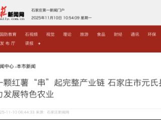 小红薯变身“金疙瘩” 石家庄元氏县推动红薯产业链发展