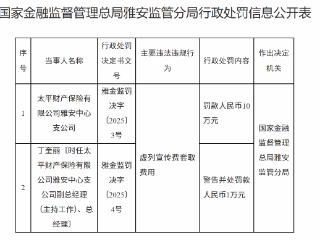太平财险雅安中支虚列宣传费套取费用被罚10万元
