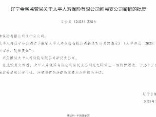 太平人寿新民支公司撤销获批