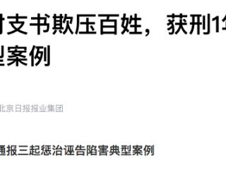 村民诬告村支书欺压百姓获刑 河南商丘通报典型案例