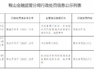 人保财险鞍山分公司因内控缺位和违规用条款费率被罚25万元