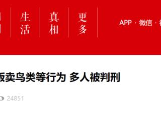 多人获刑 涉及非法猎捕、贩卖、运输鸟类等犯罪行为