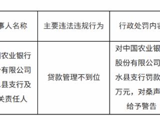 中国农业银行修水县支行因贷款管理不到位被罚款30万元