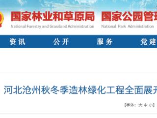 沧州秋冬季造林绿化工程全面展开 今年造林任务9.7万亩