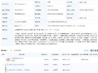 ST易购成立两家新能源相关公司