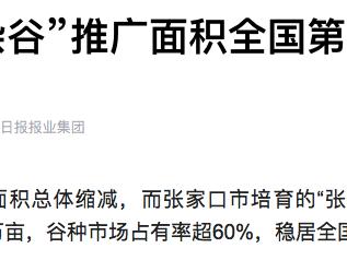 张家口“张杂谷”推广面积达302.5万亩 全国种植面积第一