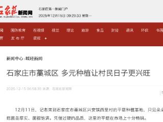 石家庄市藁城区多元种植让村民日子更兴旺